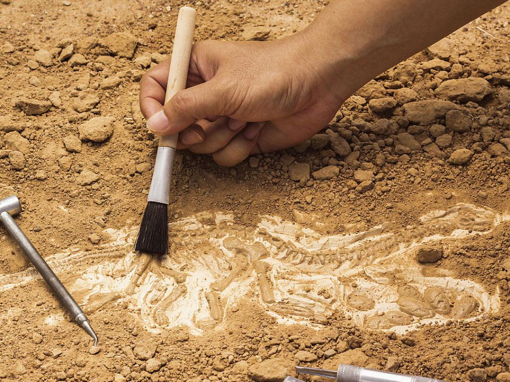 Археолози от Националния институт за превантивни археологически изследвания (Inrap) откриват