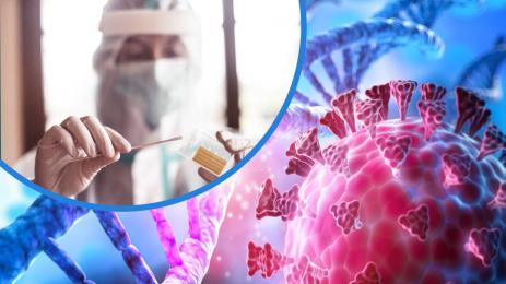 коронавирус