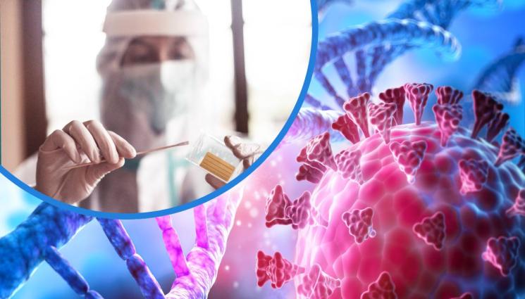 коронавирус - COVID-19 ОТСТЪПВА: Без нито една жертва на заразата за денонощието