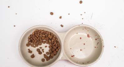 Мръсна купа за храна