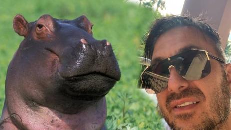 Коцето Африка