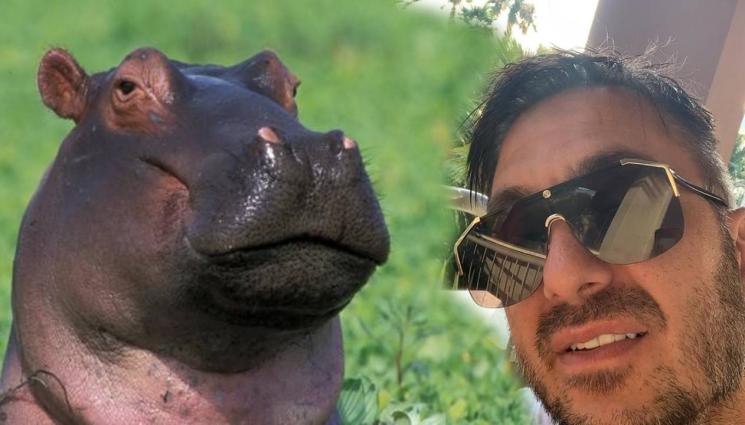 Коцето Африка - ВОАЯЖ, ВОАЯЖ: Коцето забегна на топло. Храни маймуни в Африка, наглежда със сина си стадо хипопотами (ВИДЕО)