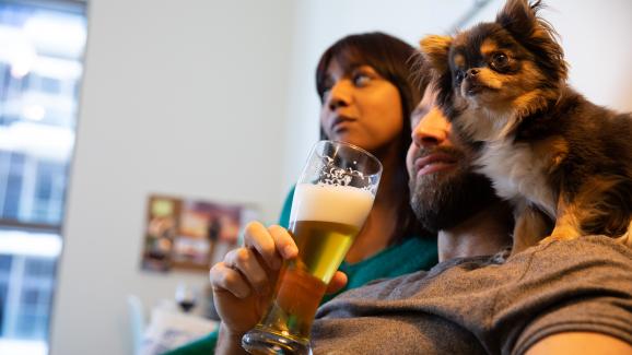 Защо не е добре да даваме на кучето дори малко бира