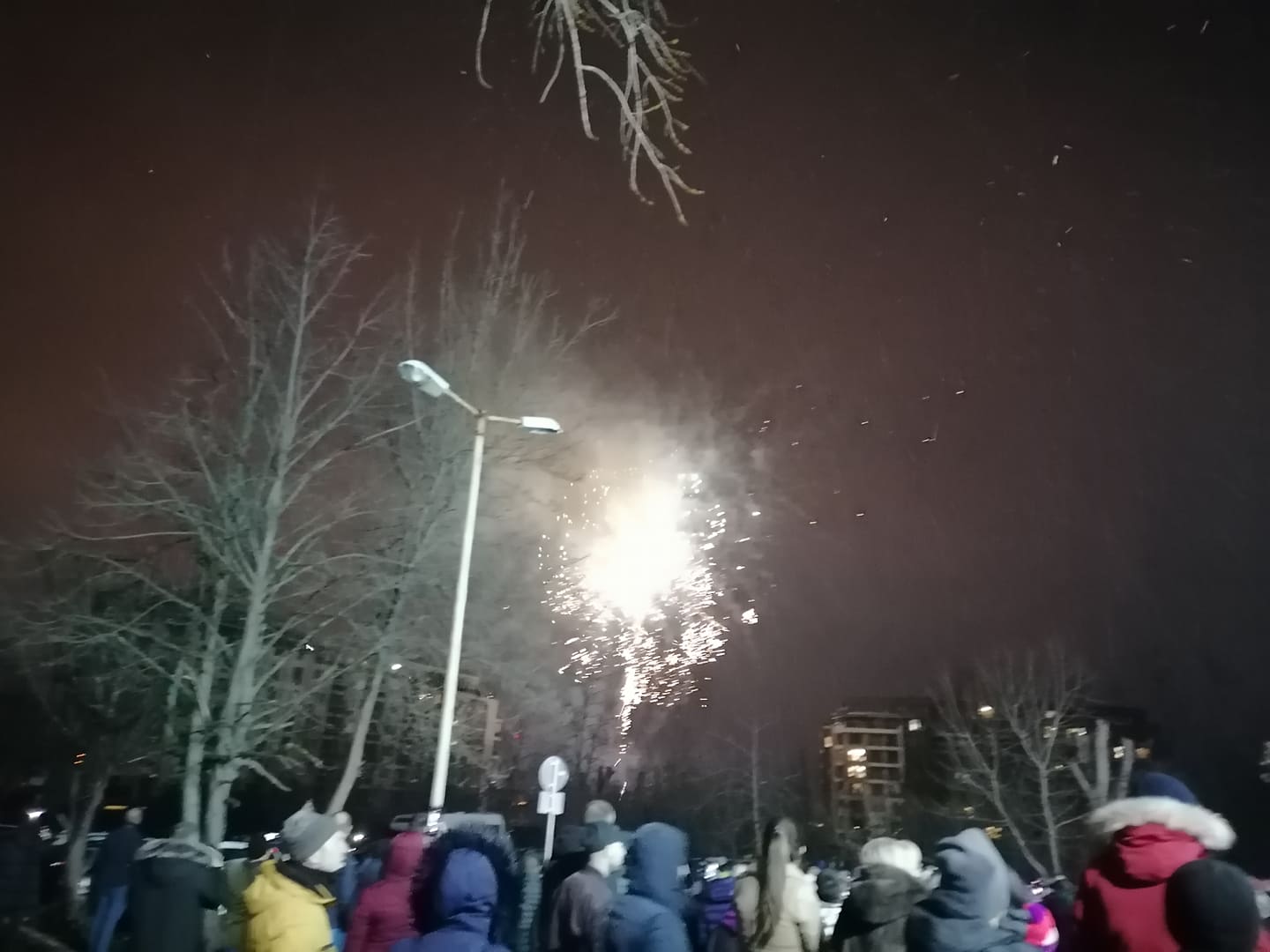 заря борисов арест