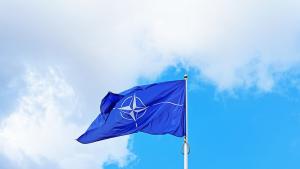 Лидерите на седем страни от НАТО обещаха да подкрепят приемането