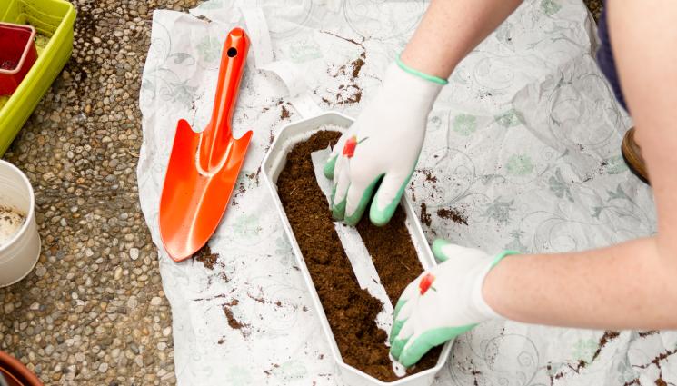 Агро - Агро Телеграф: Садим дребни семена с хартиена лента