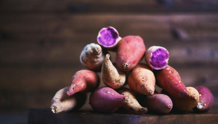 Агро - Агро Телеграф: Слагаме батата във вода, за да пусне филизи