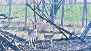 Стопаните на Зоопарк Бургас се радват на първото си пролетно
