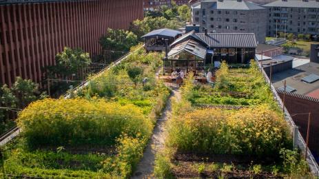 Ферма в Дания