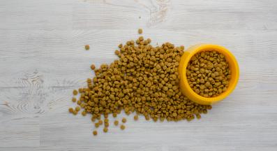 котки се хранят