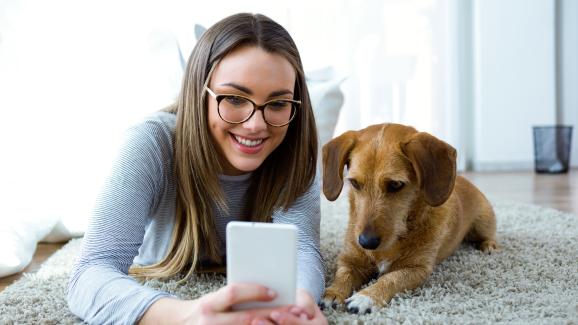 Как кучетата виждат екрана на смартфона ни