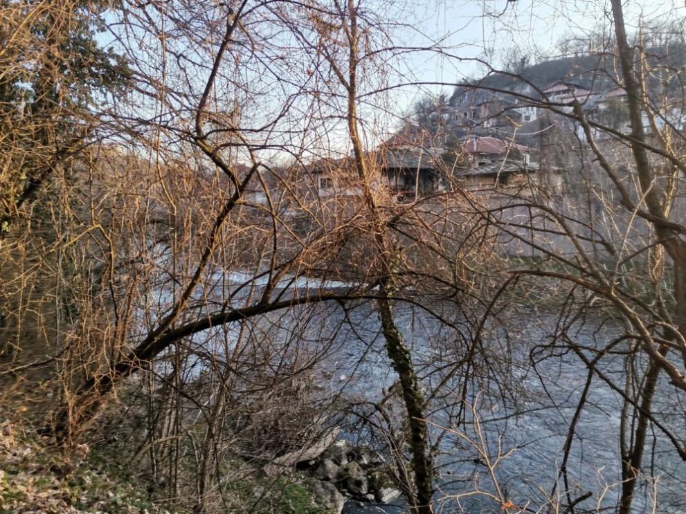 Голямо количество мъртва риба изплува в река Мочурица край селата