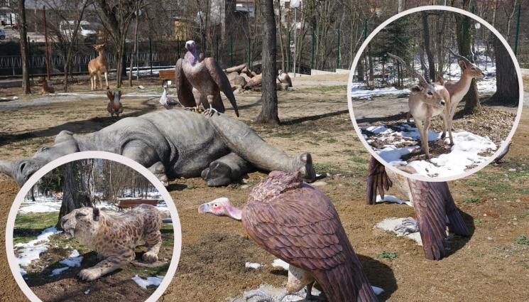 палеопарк - В ПЪРВИЯ ПАЛЕОПАРК В БЪЛГАРИЯ: Показват гигантски гепард на 2,5 милиона години