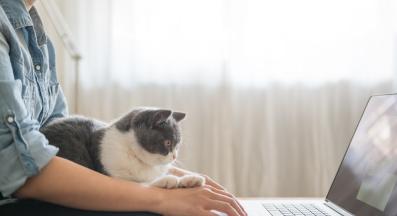 котка и собственик