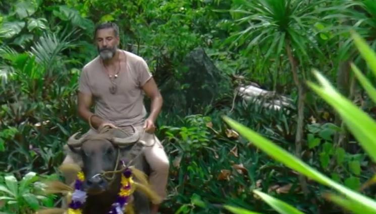 бивол в сървайвър - ДИВОТО ЗОВЕ: Участник яхна бивол в „Сървайвър“