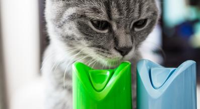 котка козметика препарати