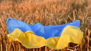 Украйна зърно