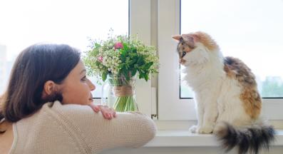 котка и стопанин