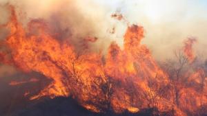 Пожар обхвана около 1000 декара сухи треви пасища и лесонепригодни