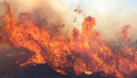 Пожар бушува в Средна гора