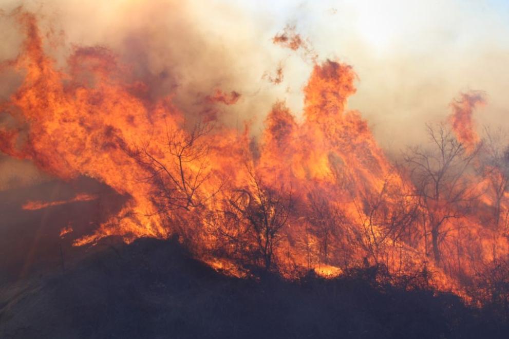 Пожар унищожи почти 5 декара гора в землището на Кричим,