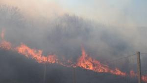 Пожарът между пазарджишките села Калугерово и Лесичово се разраства Гори