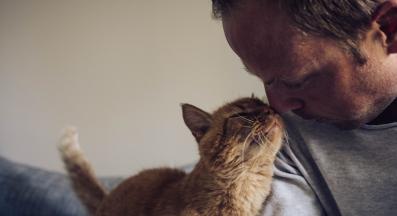 котка и стопанин