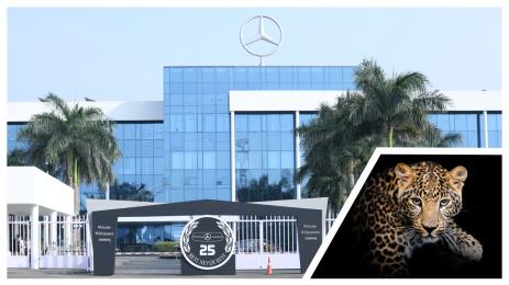 Mercedes India leopard collage