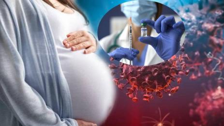 бременна коронавирус