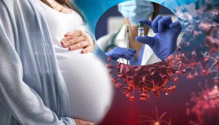 бременна коронавирус - ВАЖНО! МЗ уточни кога бременните могат да се ваксинират срещу COVID-19