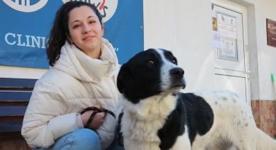 бездомно куче