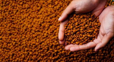 котешка храна