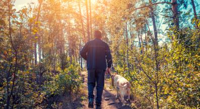 куче планина