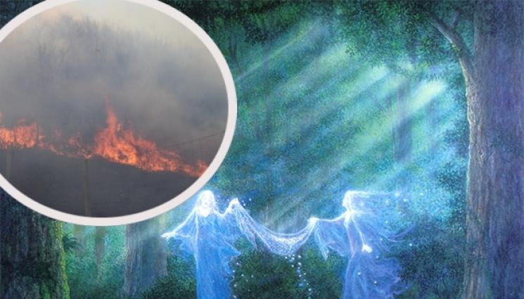 пожар - НА КЛАДАТА: Запалиха самодивите край Шишенци