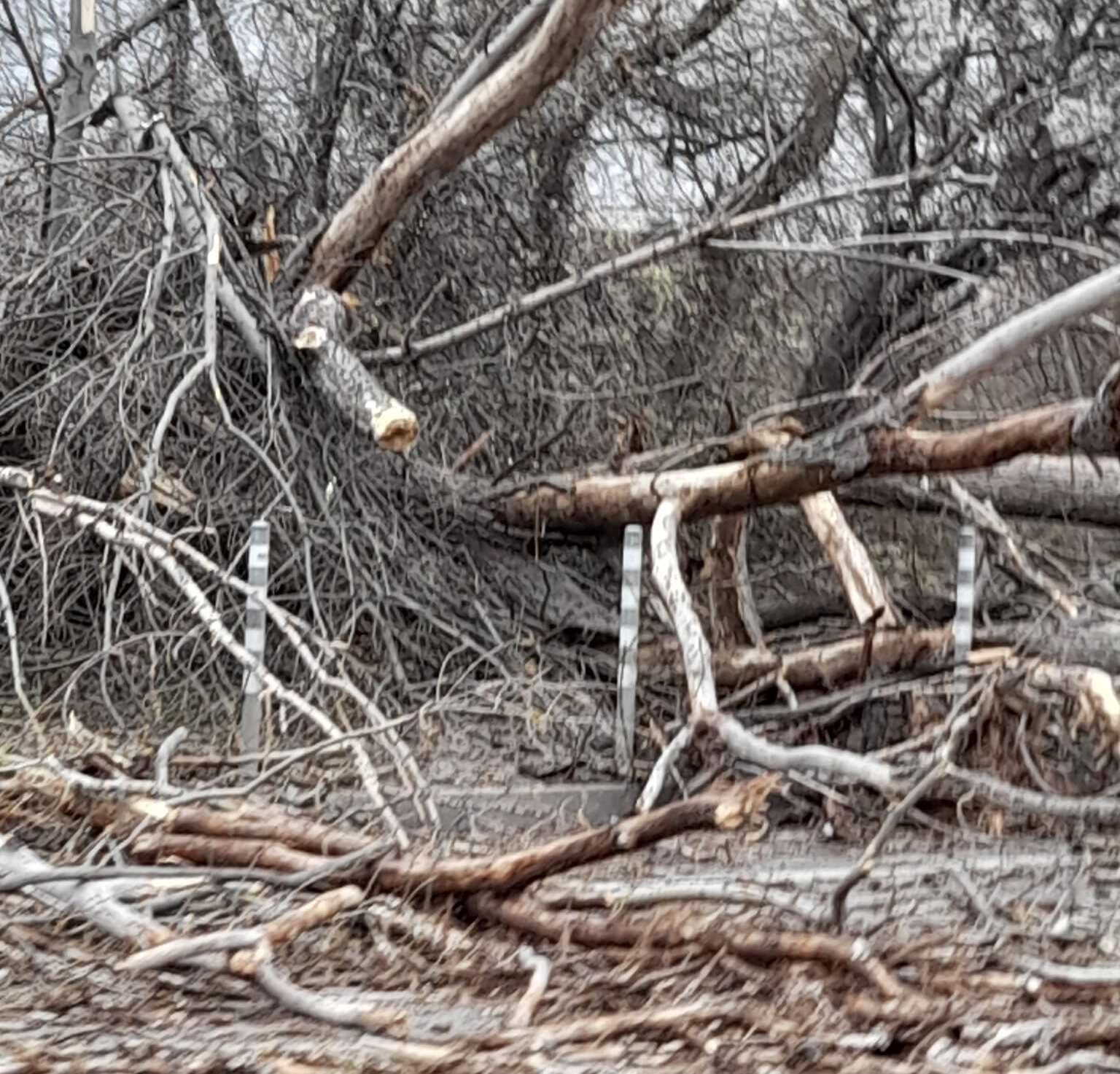 микробус буря