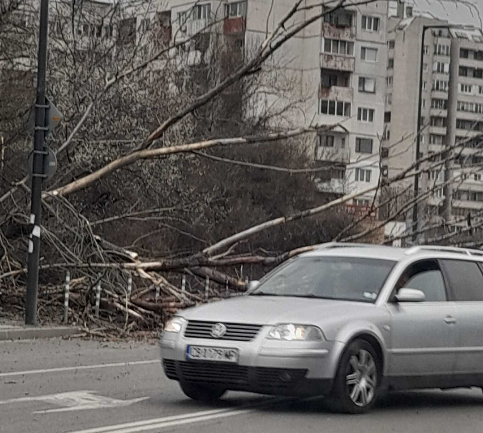 микробус буря