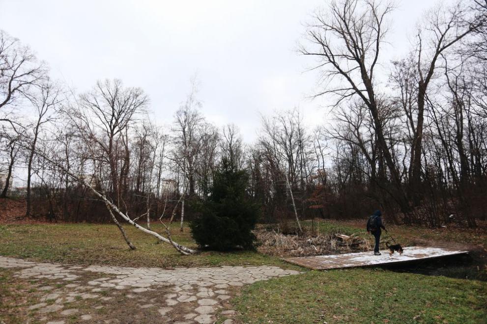 Над 120 сигнала за паднали клони, дървета и ламарини са