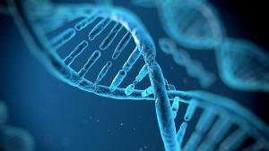 Учени публикуваха за първи път пълен човешки геном съобщи Ройтерс