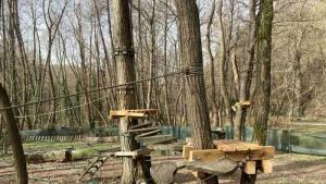 Трасетата на въжения парк в Благоевград са облагородени и подновени