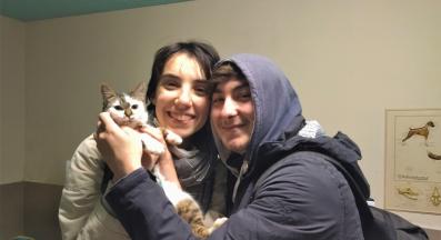 осиновено коте Марион Четири лапи