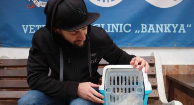 Осиновено коте Оливия