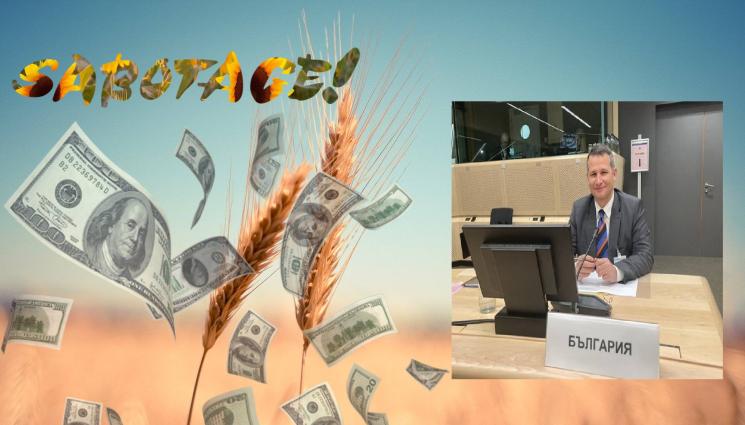 покупка на зърно - ПРОГНОЗА СЛЕД ОПИТИТЕ ЗА САБОТАЖ: Изкупуването на зърно от Държавния резерв стартира до 10 дни