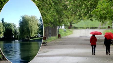 борисовата градина