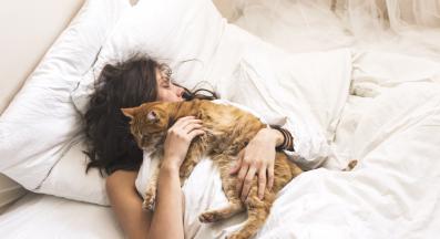 котка в леглото