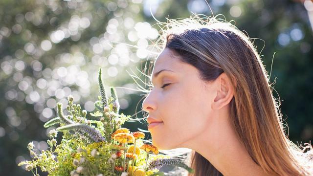 Изследване: Хората по света харесват едни и същи миризми
