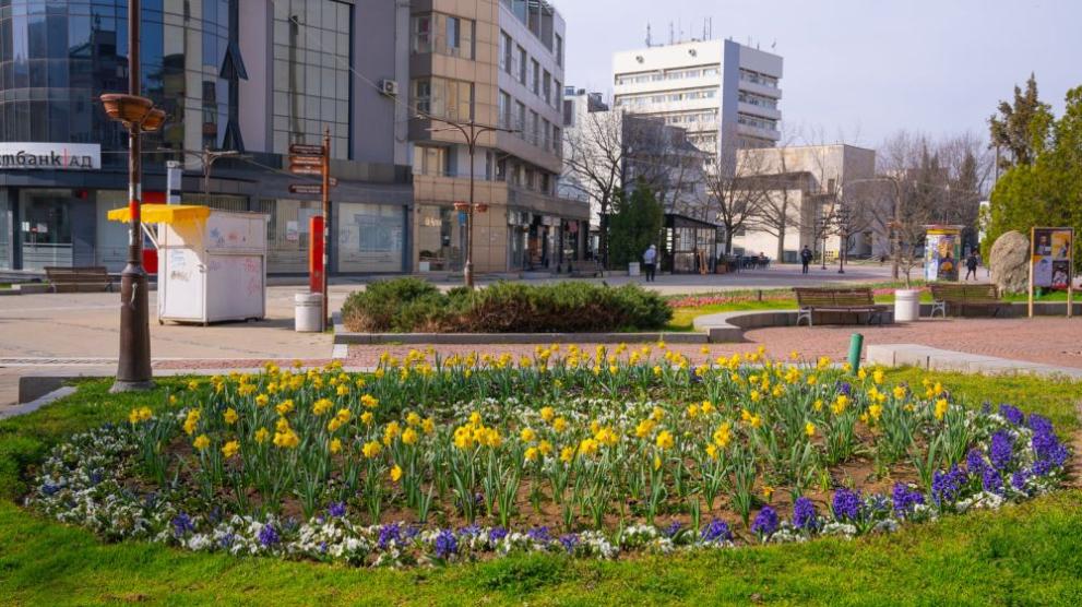 В Благоевград ще се опитат да се справят с набези