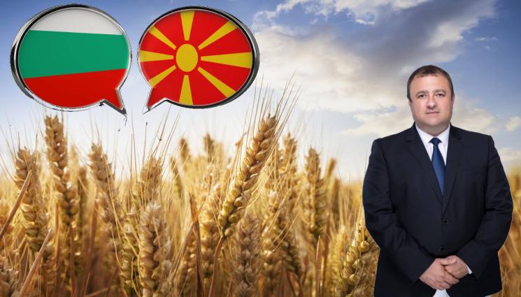 пшеница - В ЗНАК НА ДОБРОСЪСЕДСТВО: Република Северна Македония иска да внася пшеница от България