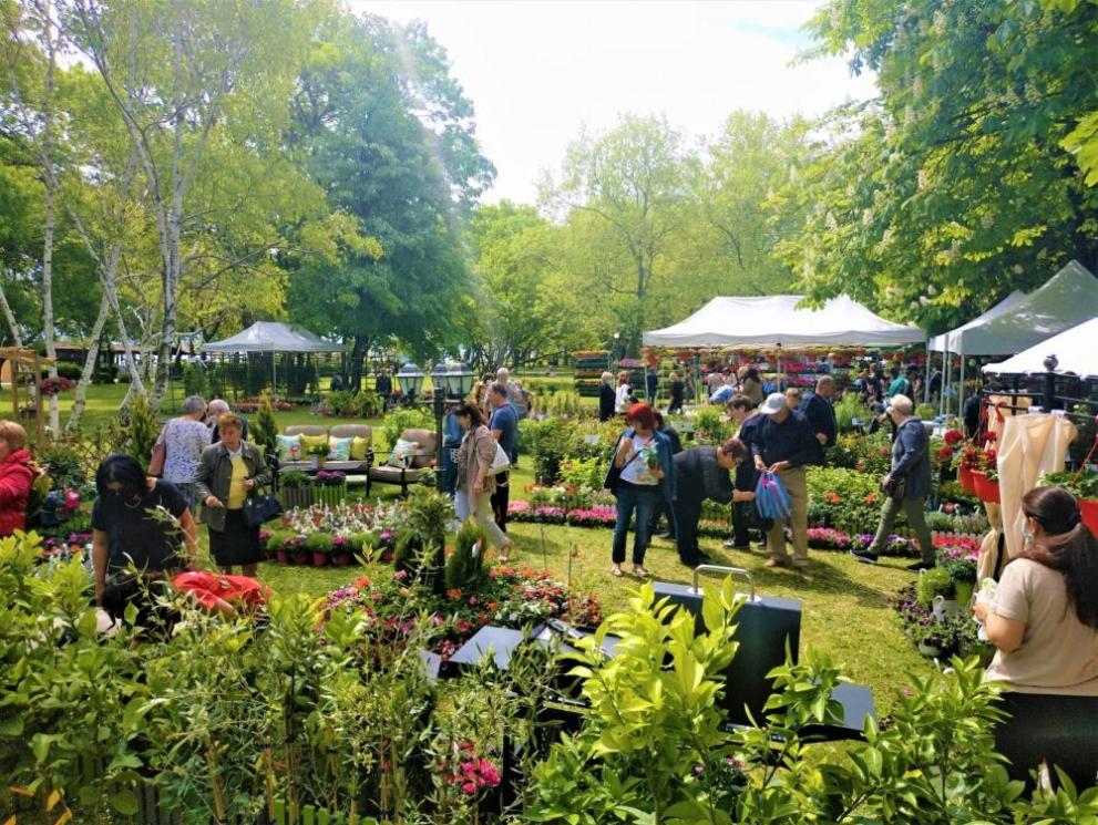 Наближава онова време от годината, когато Бургас се превръща в