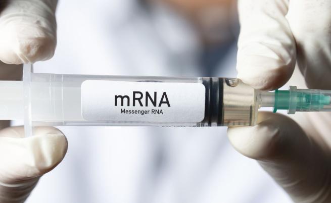 ЕМА препоръчва четвърта доза иРНК ваксина при хора над 80 г.