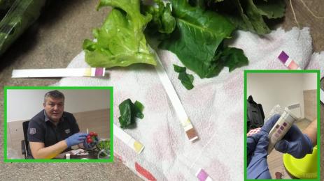 Сергей Иванов нитрати салата